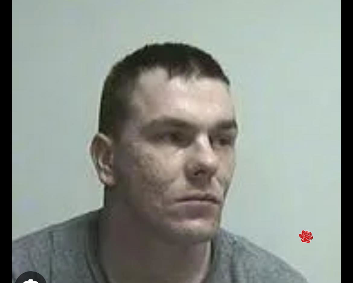 Ross Cummins – profile image